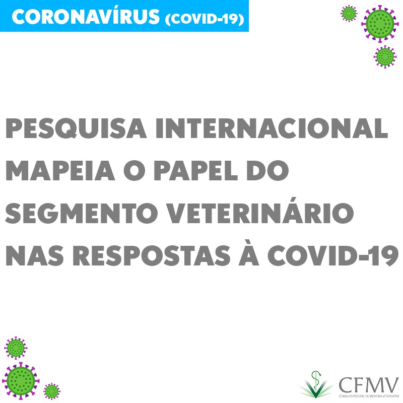 Pesquisa internacional Covid 19