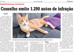 reportagem-gazeta