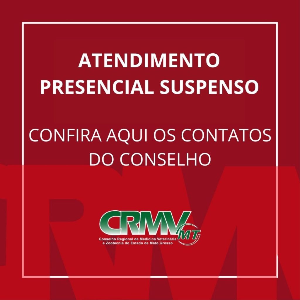 Reportagem “paga ou mata_” do jornal Correio 24 Horas