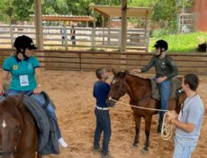 Clínica de ensino do equino de equoterapia ufmt (1)