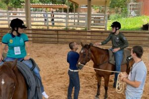 Clínica de ensino do equino de equoterapia ufmt (1)