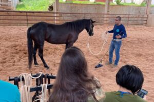Clínica de ensino do equino de equoterapia ufmt (5)