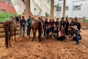 Clínica de ensino do equino de equoterapia ufmt (8)