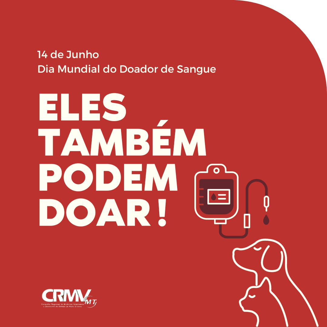 Instagram Post Dia Mundial do Doador de Sangue