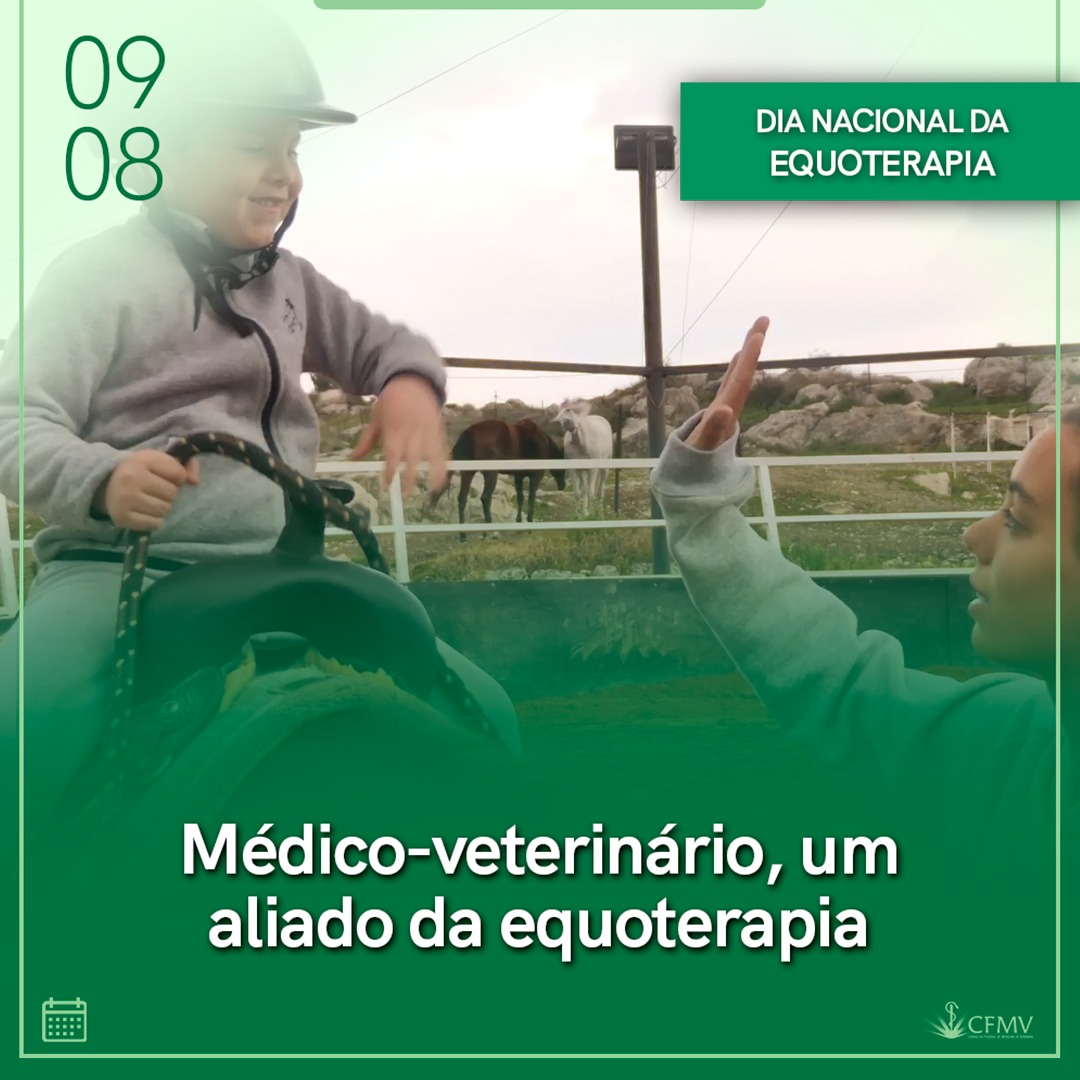 dia da equoterapia