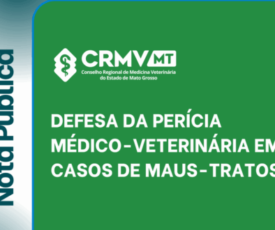 Fotos para site - medida correta (41)