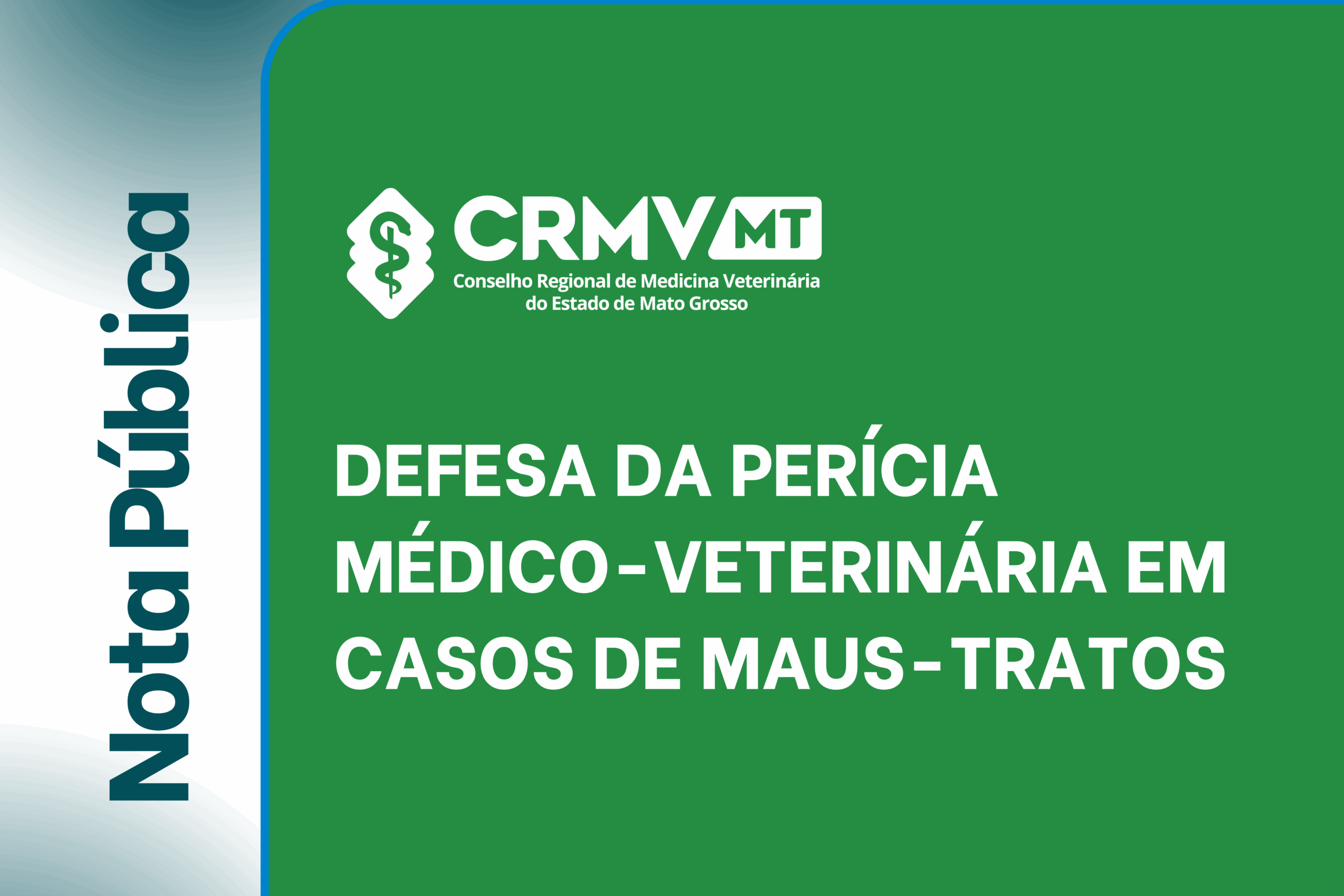 Fotos para site - medida correta (41)