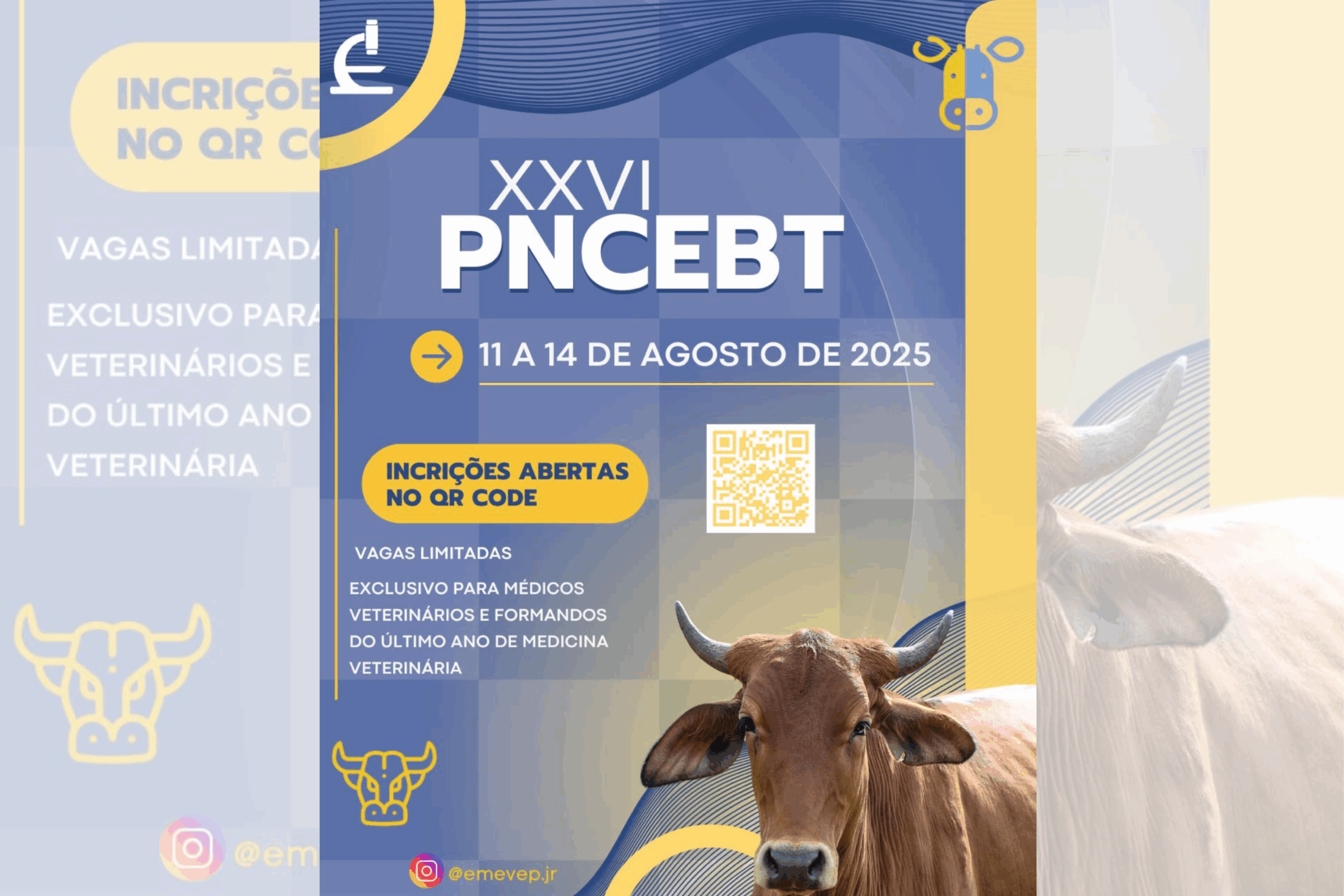 Medidas para site