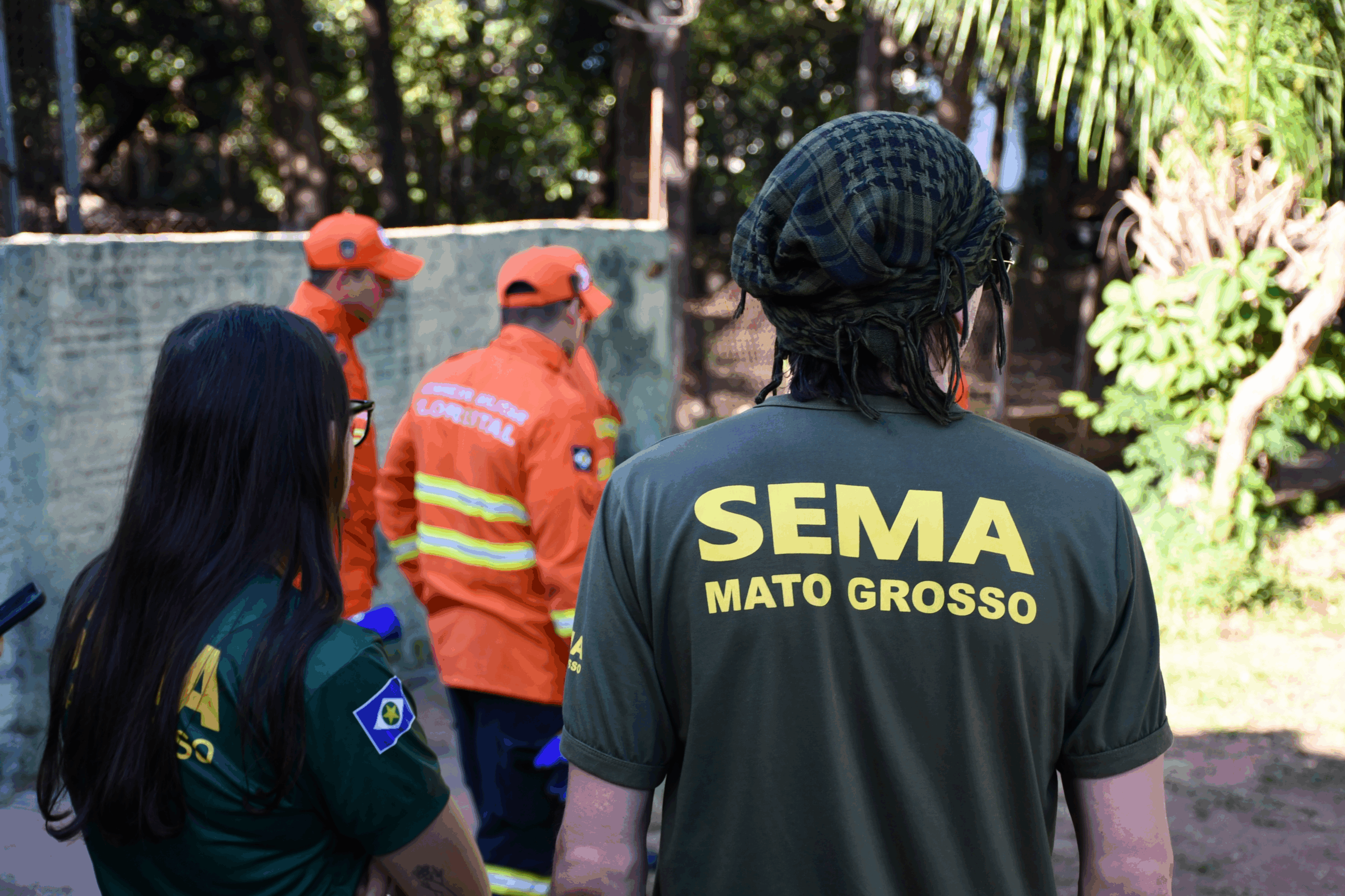 Sema