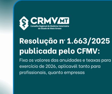 Fotos para site - medida correta (8)