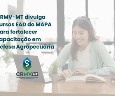 Fotos para site - medida correta (9)