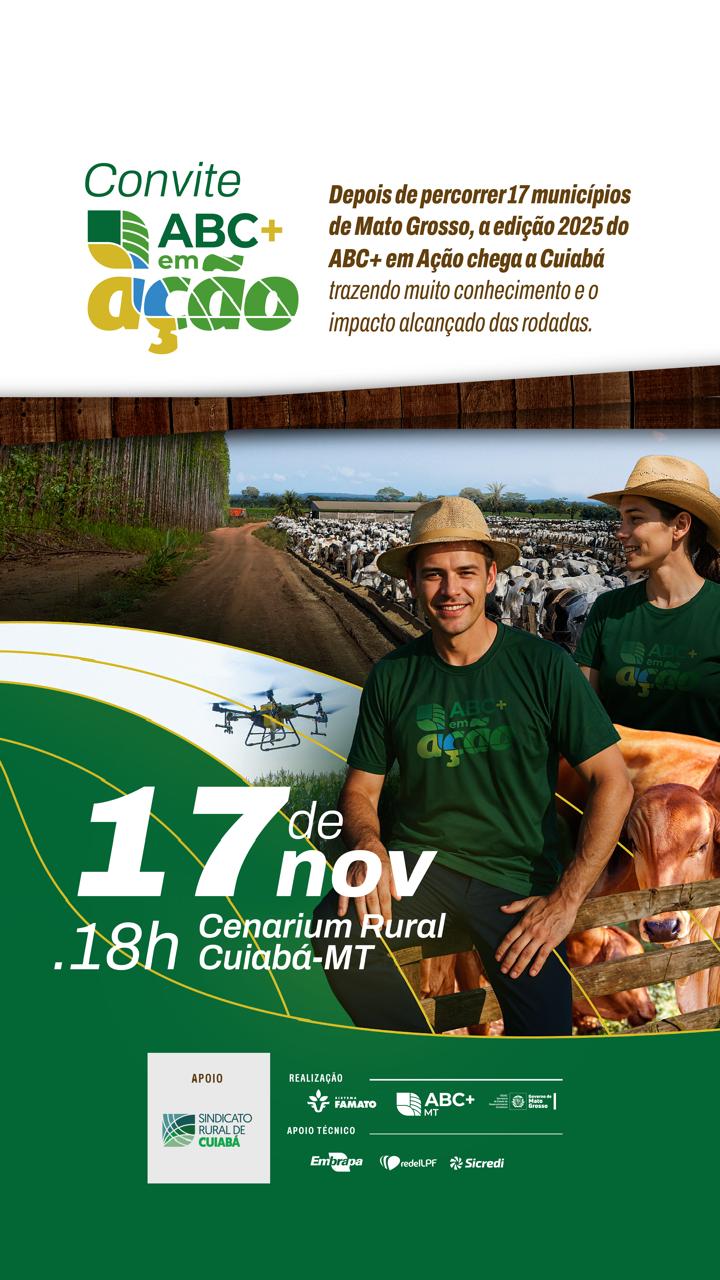 WhatsApp Image 2025-11-12 at 15.42.37