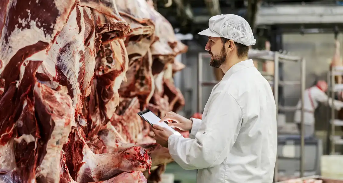 analise-de-carne-em-frigorifico