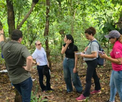 WhatsApp Image 2025-12-11 at 14.07.06