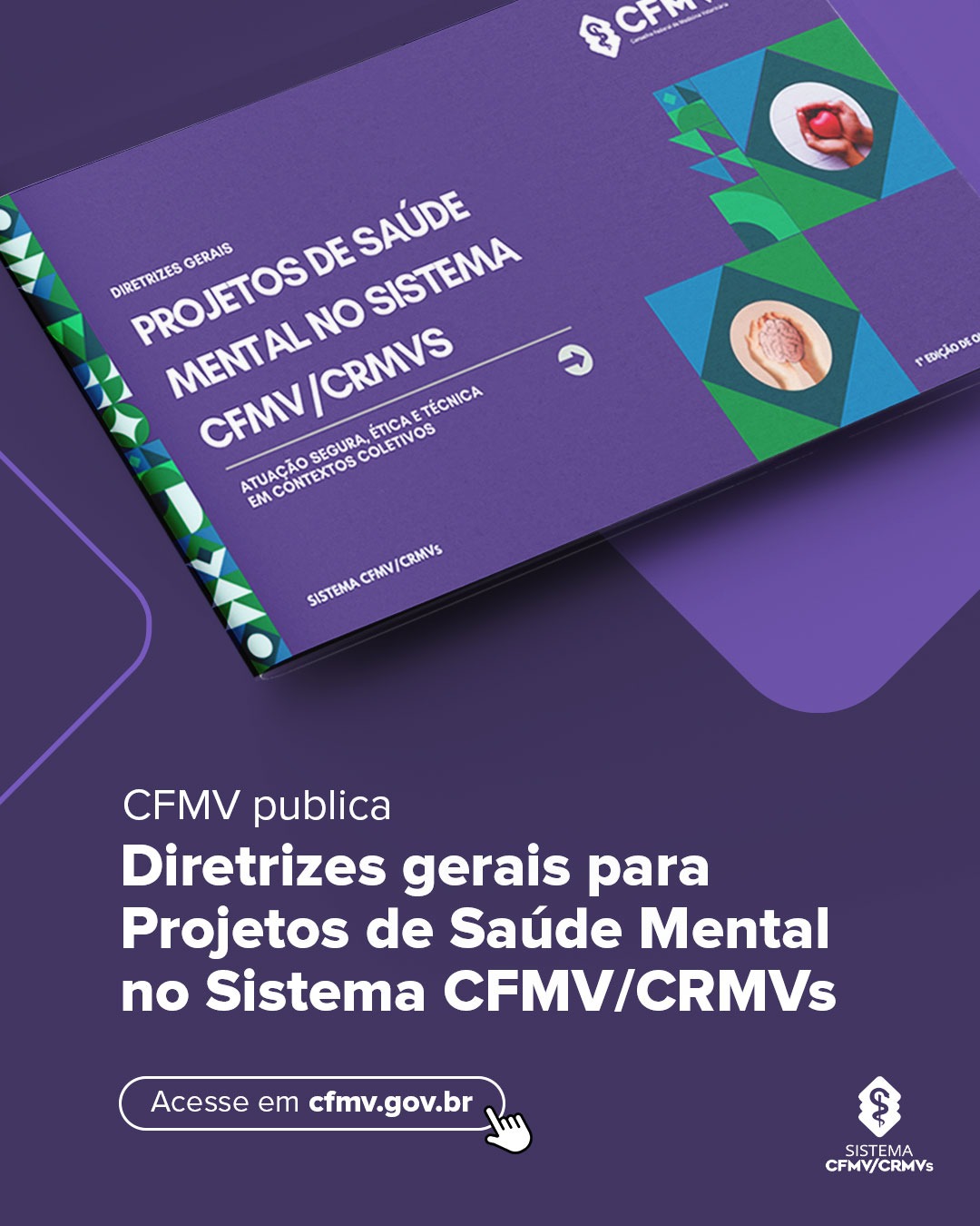 WhatsApp Image 2026-01-09 at 12.54.55