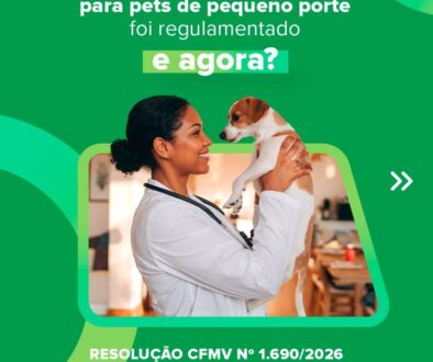 WhatsApp Image 2026-01-23 at 12.59.03