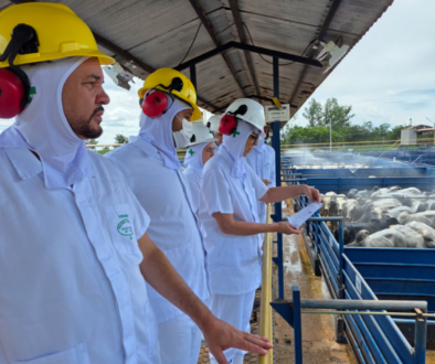 20260303_115220_resized