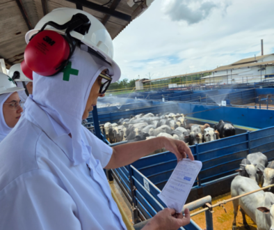 20260303_115227_resized