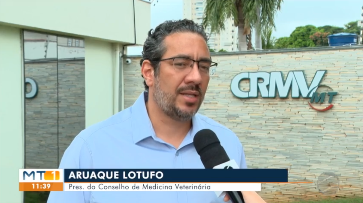 Reportagem TV Centro América
