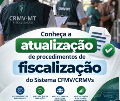 Design sem nome (15)
